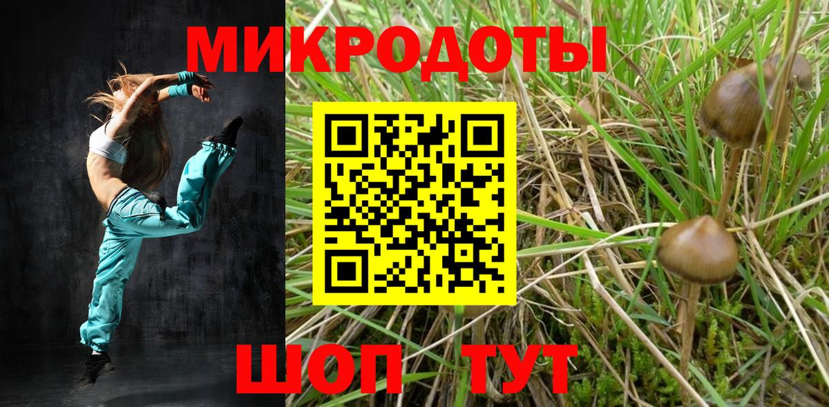 Псилоцибиновые грибы ЛСД  Псилоцибиновые грибы GOLDEN TEACHER  Вход с VPN  Магадан 